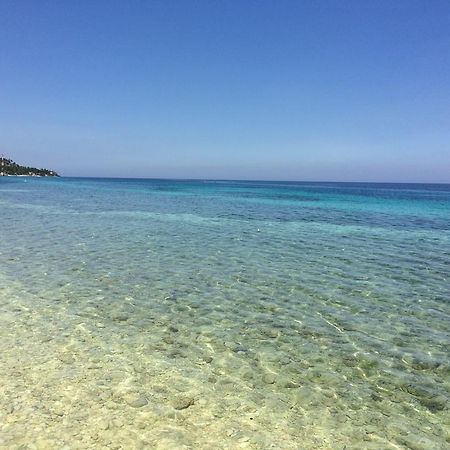 Oslob Garden Stay Beach Resort Екстер'єр фото